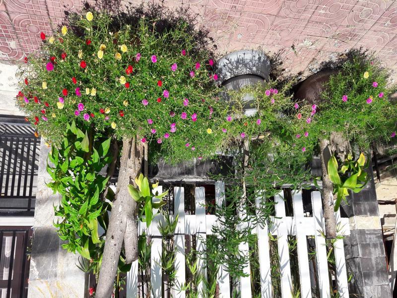 The House 36 Daire Hoi An Dış mekan fotoğraf
