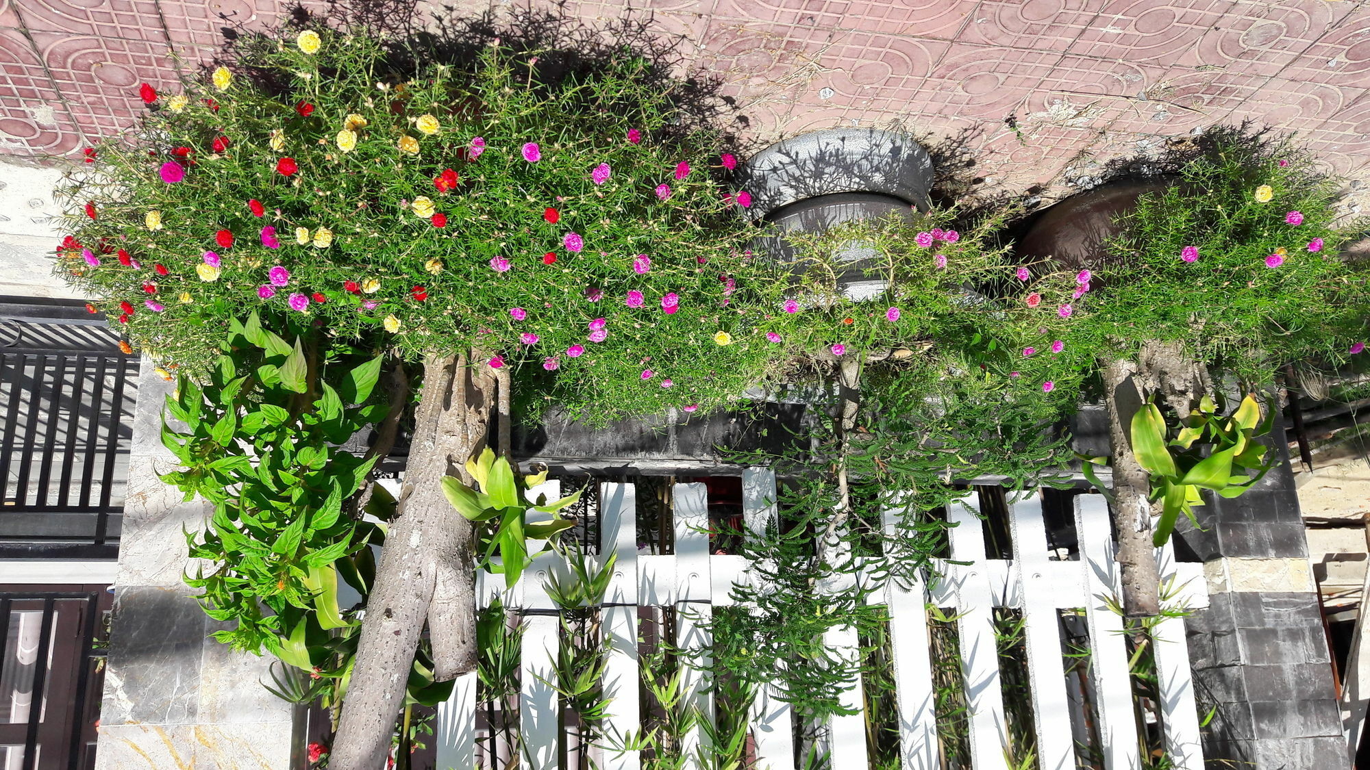 The House 36 Daire Hoi An Dış mekan fotoğraf